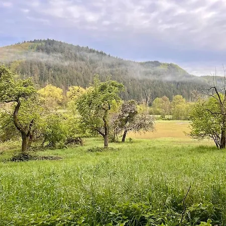 Kleinmann In Appartement Kordel