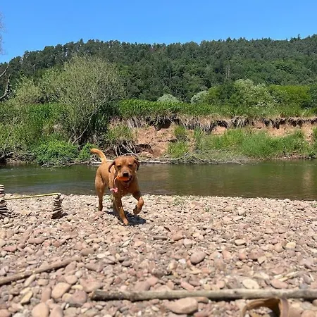 Appartement Kleinmann In *