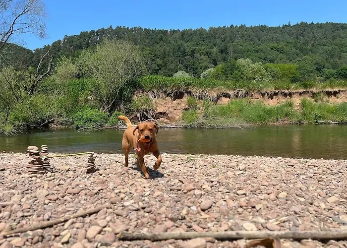 公寓 Kleinmann In *